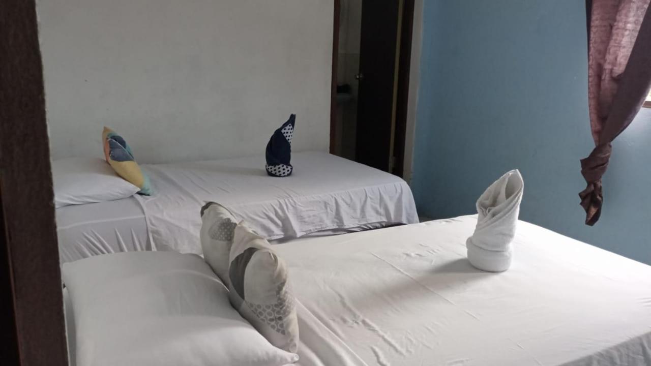 Casa De Alexis Hotel Puerto Baquerizo Moreno Bagian luar foto